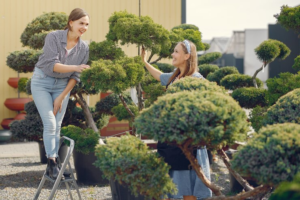 investir em jardinagem e paisagismo em condomínios é uma ótima forma de estimular a interação social entre os condôminos