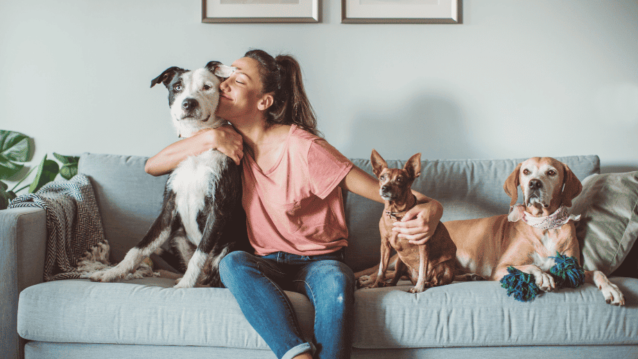 animais em condomínios - pets em condomínios - proibição de pets em condomínios